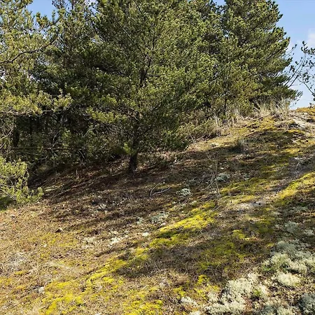 832-thisted-blamunkevej-32 Hébergement de vacances *