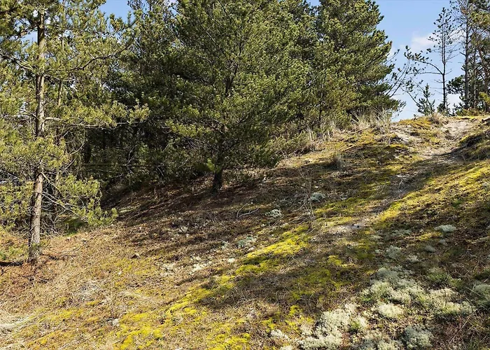 832-thisted-blamunkevej-32 Semesterbostad *